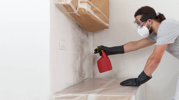 Attic Mold Remediation treatment on roof deck in Annandale